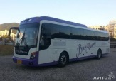 автобусные перевозки
