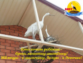 отдых на море в крыму г.саки по бюджетным ценам